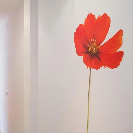 Piso Sebastián 2 Alto Solo Familias Apartamento *