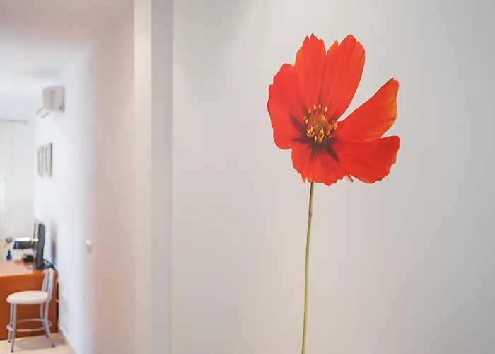 Piso Sebastian 2 Alto Solo Familias شقة كونيل ذي لا فرونتيرا